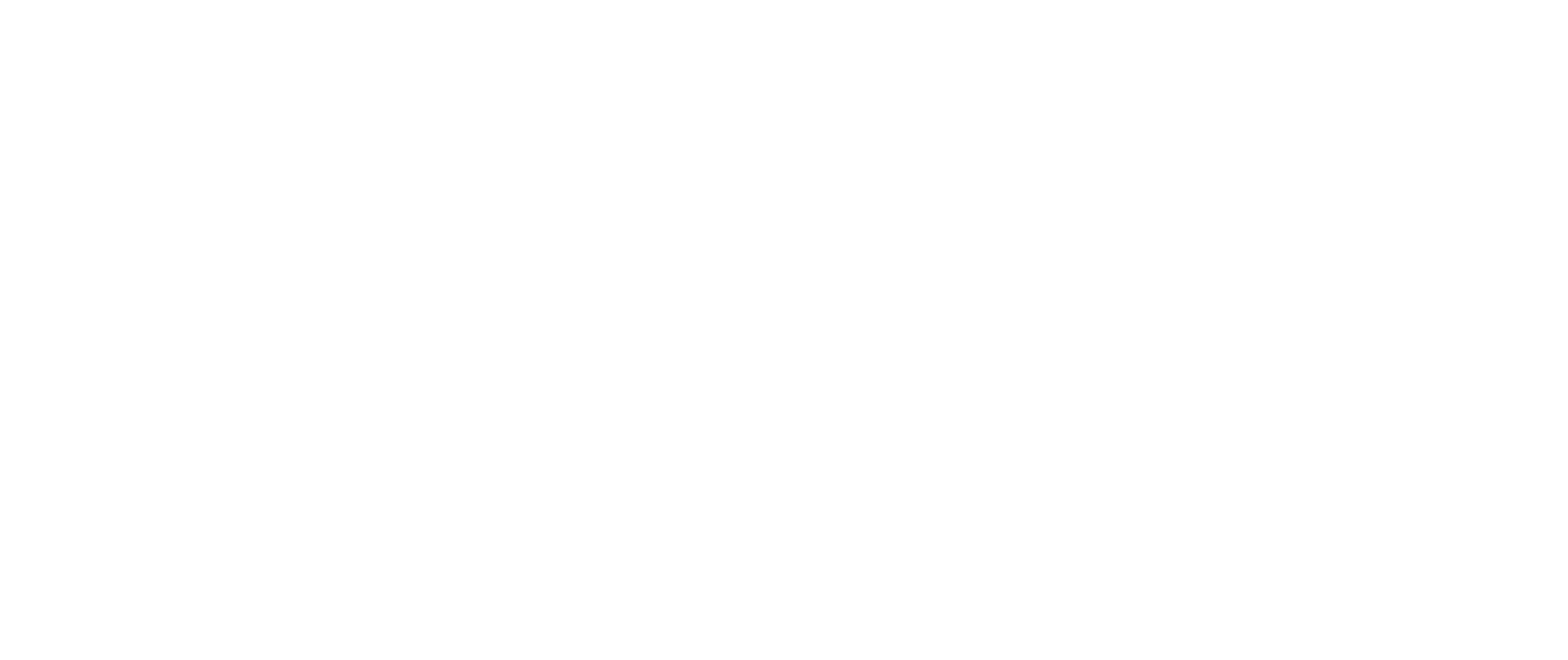 Amy Yip LLC